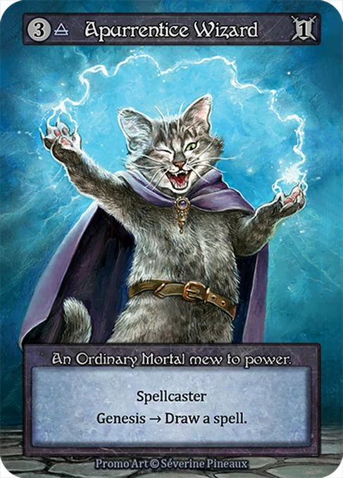 Apprentice Wizard