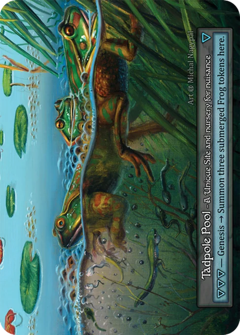 Tadpole Pool